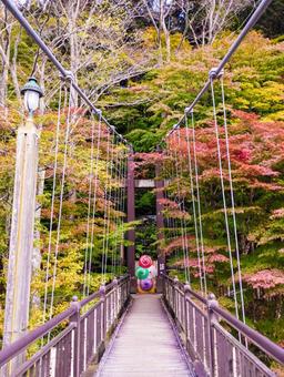 紅の吊り橋を渡り切る 塩原温泉,紅の吊り橋,紅葉の写真素材