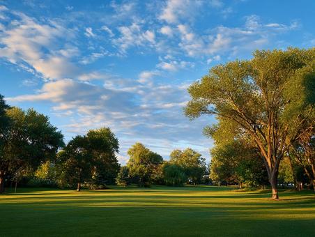 都会の喧騒を離れた公園の午後の写真