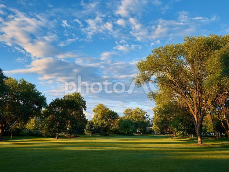 都会の喧騒を離れた公園の午後 公園,青空,晴れの写真素材