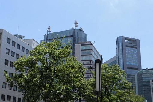 新橋　街並み 新橋,高層ビル,港区の写真素材