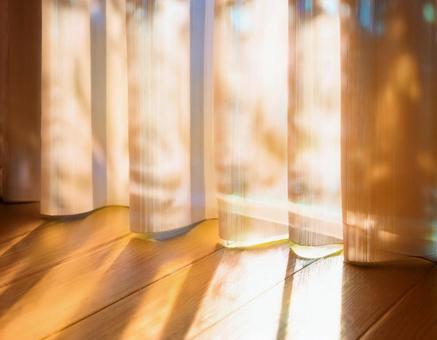 家の窓際カーテンから差し込む光3 カーテン,床,リビングの写真素材