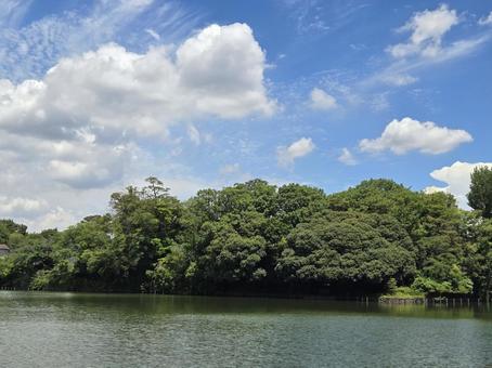 夏の空と池 夏の空と池の写真