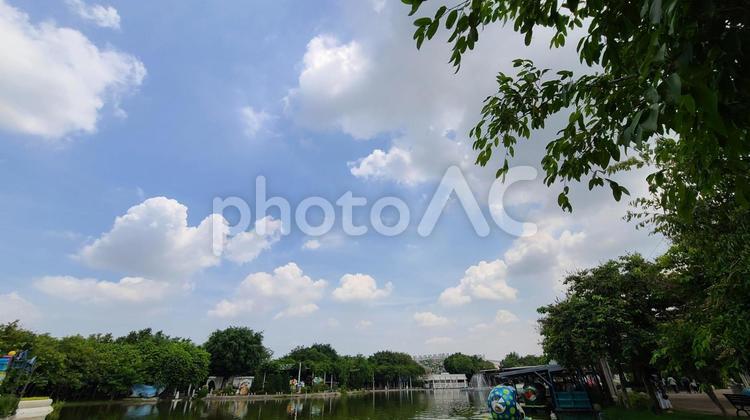池の近くでのんびりしている様子 公園,花壇,ウォーキングの写真素材