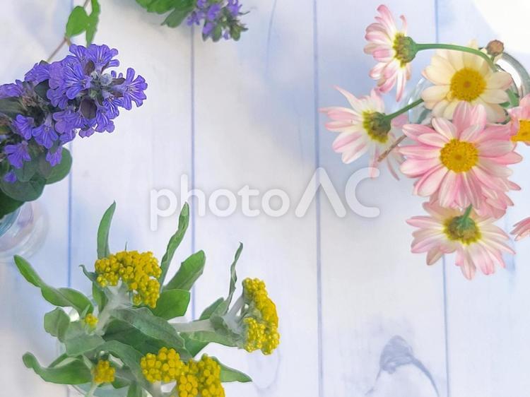 優しい色合いの花と白い木目の背景 花,ボタニカル,木目の写真素材