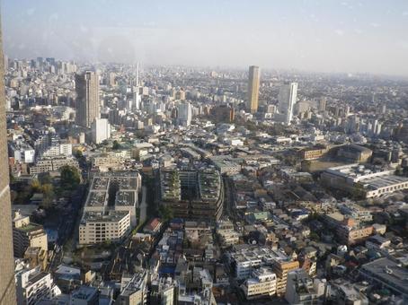 渋谷から見た都心の景色 渋谷から見た都心の景色の写真