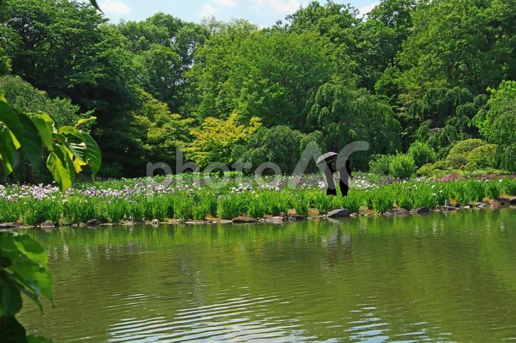 公園や自然のイメージ 公園,自然,旅の写真素材