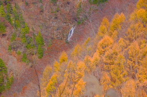 紅葉に包まれた無名の滝 岐阜県白川村 紅葉に包まれた無名の滝 岐阜県白川村 無名の滝,滝,渓流の写真素材