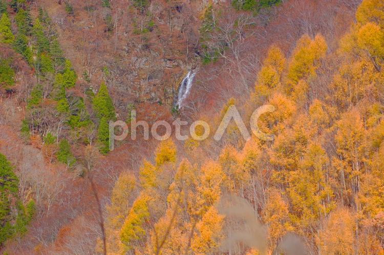 紅葉に包まれた無名の滝 岐阜県白川村 無名の滝,滝,渓流の写真素材
