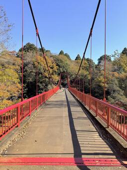 紅葉 橋 紅葉,紅葉狩り,秋の風景の写真素材