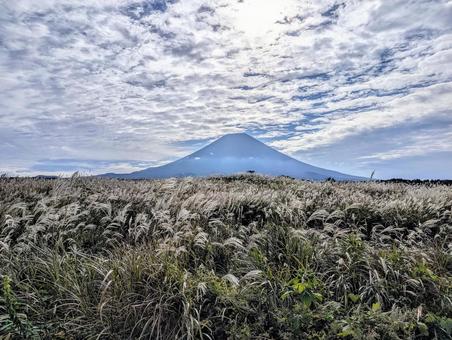 秋空と富士山 秋空と富士山 富士山,秋,すすきの写真素材