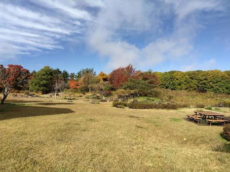 紅葉 秋,紅葉,山の写真素材
