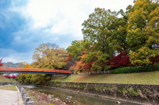 秋の竜田川 竜田川,秋,川の写真素材