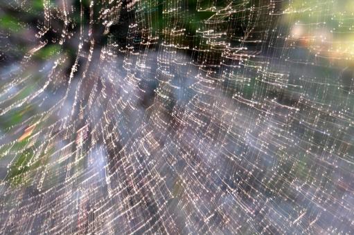 流れる光 流れる光 木陰,流動性,流れるの写真素材