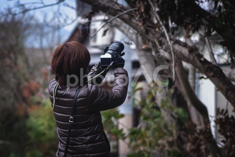 R＜人物＞河川敷で写真撮影をする女性 女性,写真,撮影の写真素材