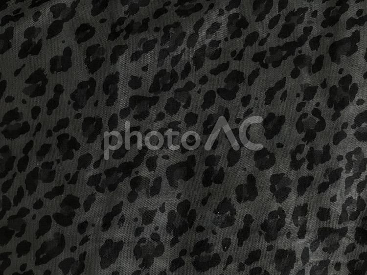 ヒョウ柄ストールのアップ（暗） ヒョウ柄,レオパード,布の写真素材