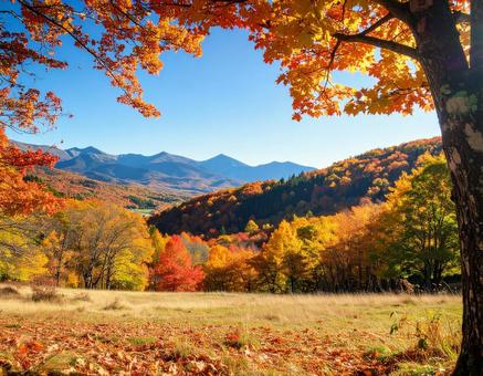 紅葉が広がる秋の自然風景 紅葉が広がる秋の自然風景の写真