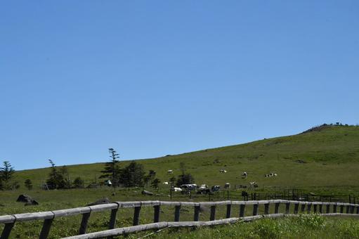 美ヶ原高原 青い空 美ヶ原高原 青い空の写真
