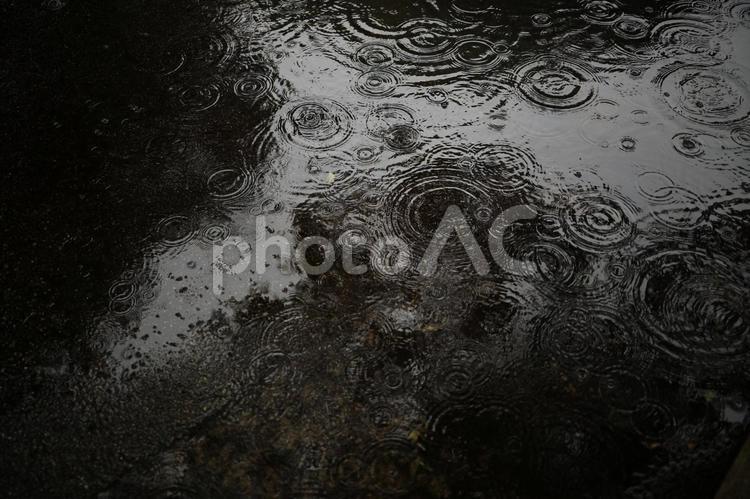 雨の日の水たまり 雨,梅雨,水たまりの写真素材