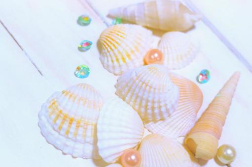 Photo, shell, conch, beads, 