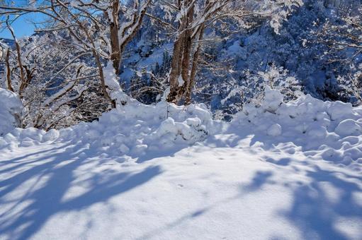 250320秋山郷清水川原、結東 250320秋山郷清水川原、結東の写真