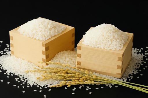 米 米の写真