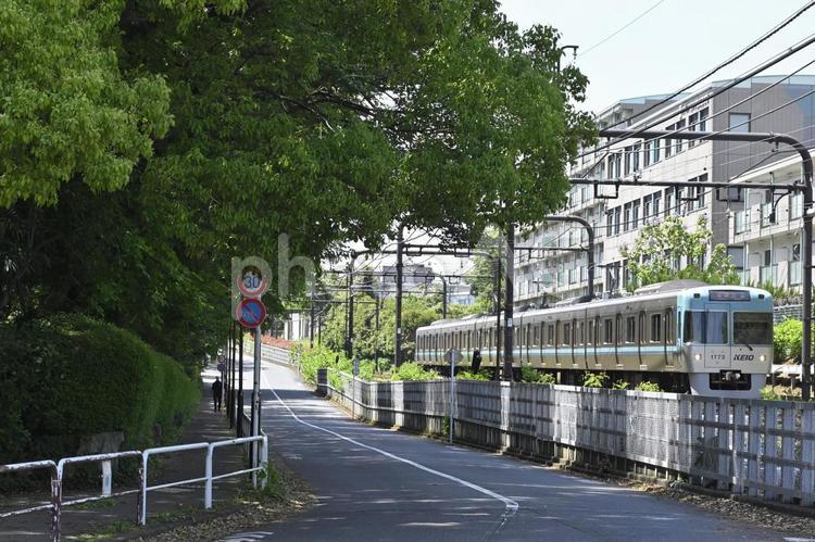 井の頭線と駒場通り 井の頭線,京王電鉄,駒場通りの写真素材