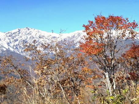 雪の北アルプス 北アルプス,雪景色,自然の写真素材