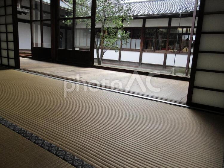 畳の和室から見る庭 建築,窓,屋内での写真素材