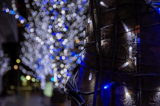 六本木のクリスマスイルミネーションの写真