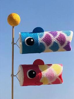 こいのぼりの写真