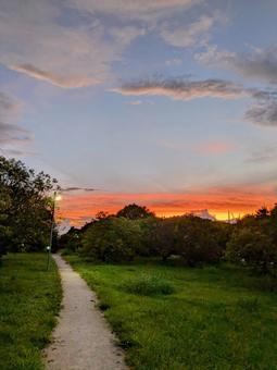 Sunset and path, JPG