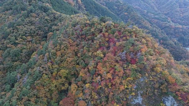 山紅葉003 山,紅葉,山紅葉の写真素材