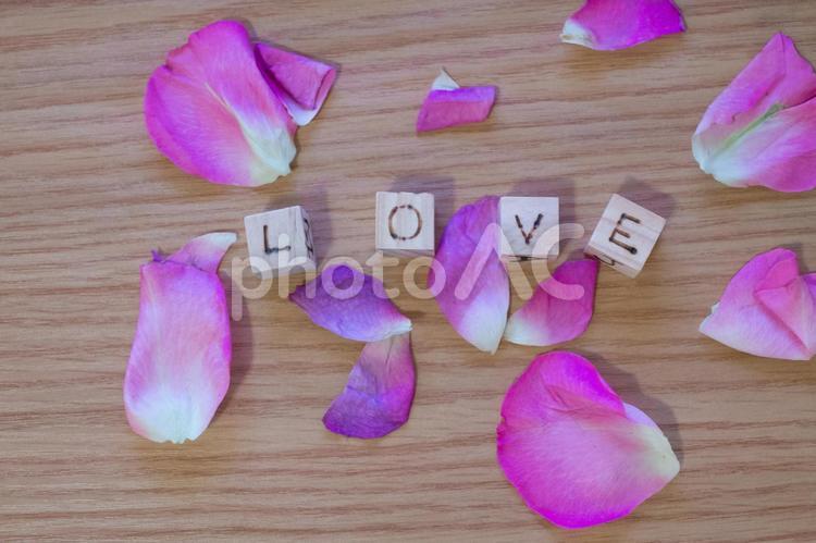 ピンクの薔薇と”LOVE"の文字 花びら,手書き,英語の写真素材