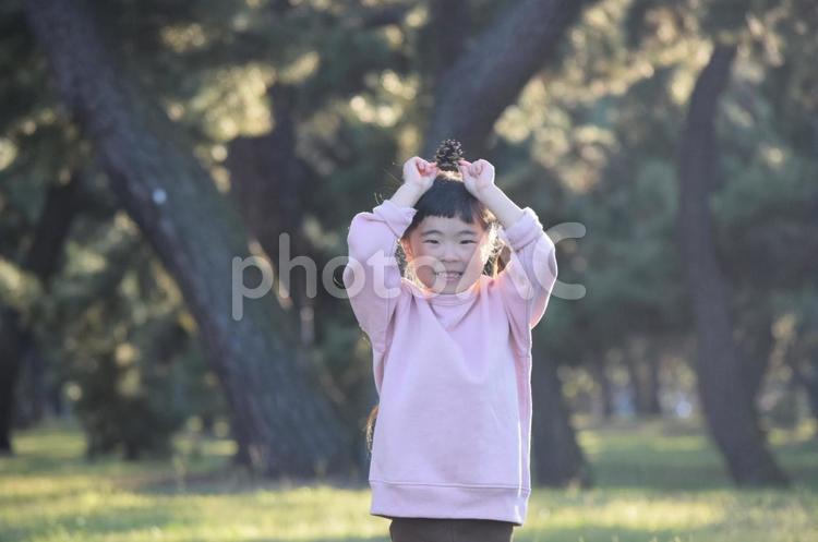 松ぼっくりと女の子 4 松ぼっくり,松,女の子の写真素材