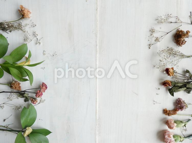 白板と左右に並ぶドライフラワーB 花,フレーム,ドライフラワーの写真素材
