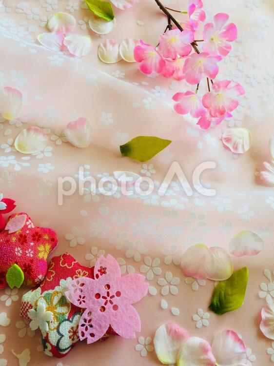 桜の背景 桜,背景,桜の背景の写真素材