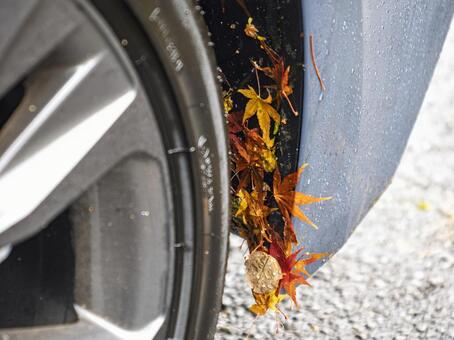 車にまとわる秋の落ち葉の名残 落ち葉,紅葉,車の写真素材