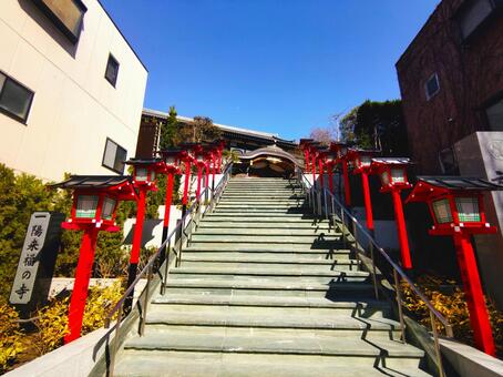 新宿・放生寺の参道2 放生寺,参道,神社仏閣の写真素材