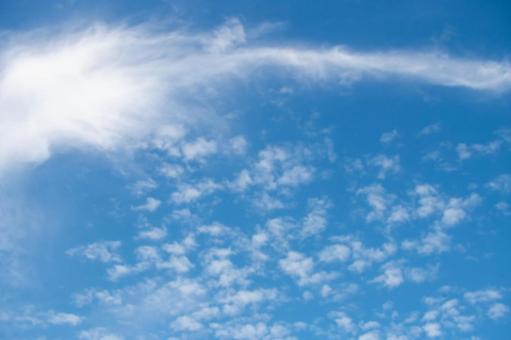 秋の空と雲を千里中央で撮影 秋の空と雲を千里中央で撮影 空,雲,晴れの写真素材