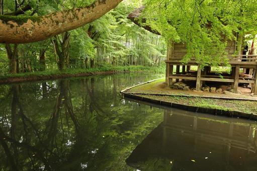中尊寺1 中尊寺1の写真