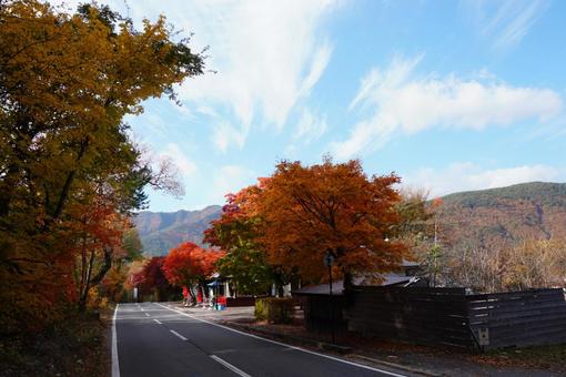 紅葉真っ盛りの道 秋,紅葉,カラフルの写真素材
