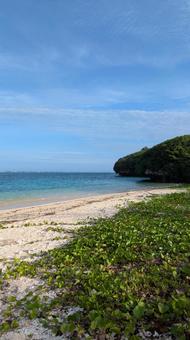 Green Beach (Ishara Beach) 3, JPG Green Beach (Ishara Beach) 3, JPG