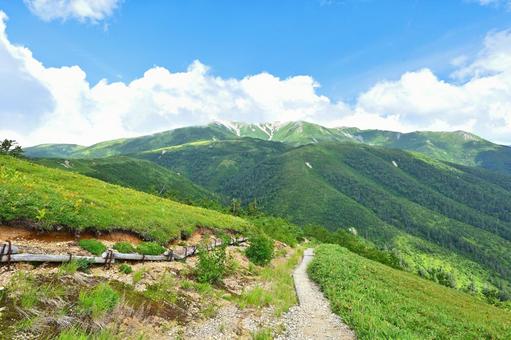 ハイジを彷彿とさせる北アルプスの山並み ハイジを彷彿とさせる北アルプスの山並み 北アルプス,ハイジ,山並みの写真素材