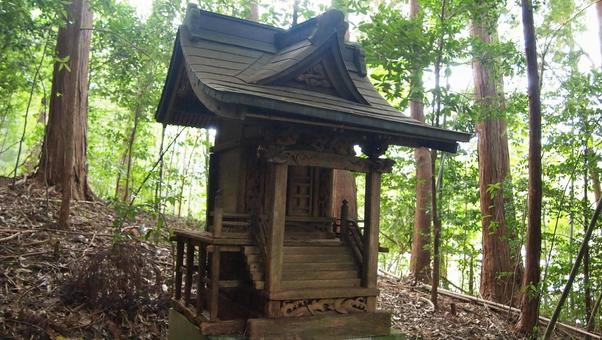 森の中に佇む木造の小さな祠 祠,ほこら,末社の写真素材