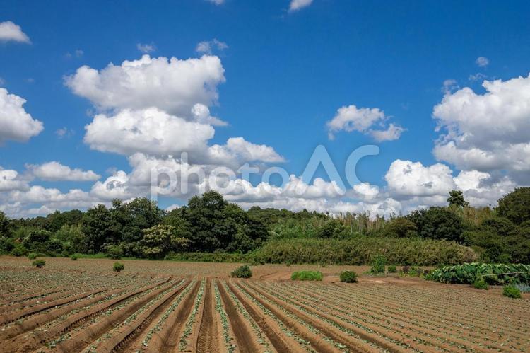 田園風景 田園風景,田舎暮らし,雲の写真素材