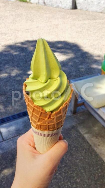 お抹茶のソフトクリーム 抹茶,ソフトクリーム,夏の写真素材
