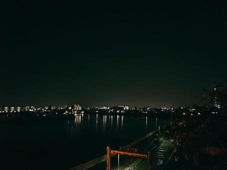 夜景 夜景の写真