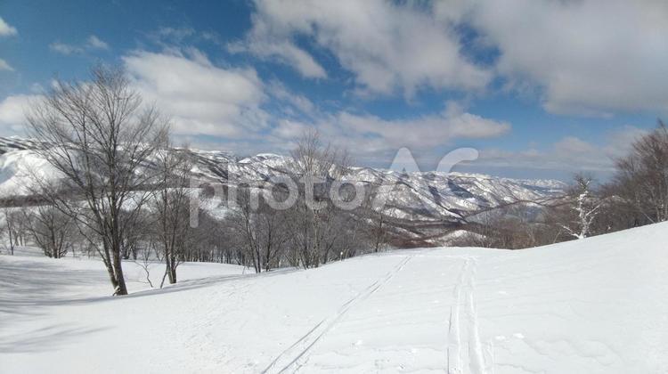 雪原とあしあと 雪,雪原,バックカントリーの写真素材