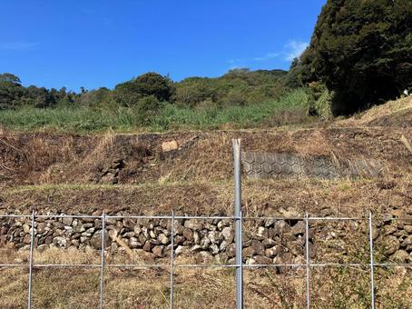 田舎の里山 田舎,雑草,自然の写真素材