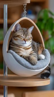 裕福な猫様用高級キャットハウス 裕福な猫様用高級キャットハウスの写真